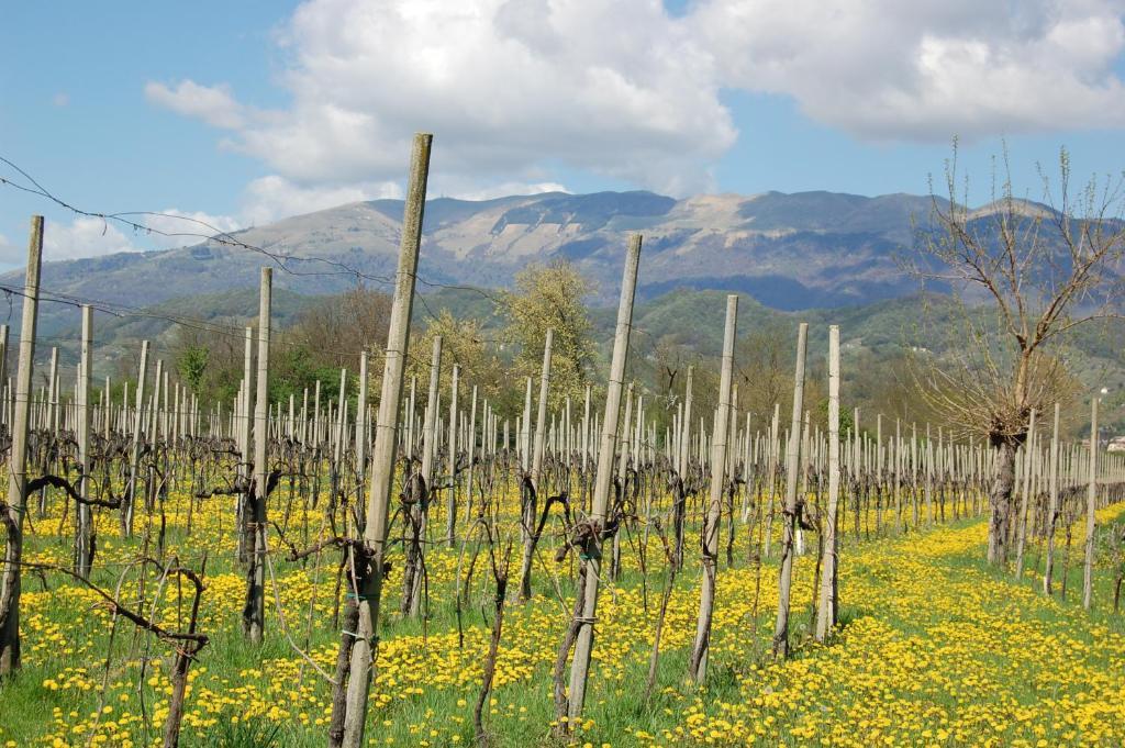 Locanda La Candola Soligo Экстерьер фото